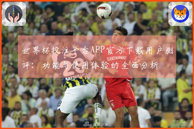 世界杯投注平台APP官方下载用户测评：功能与使用体验的全面分析