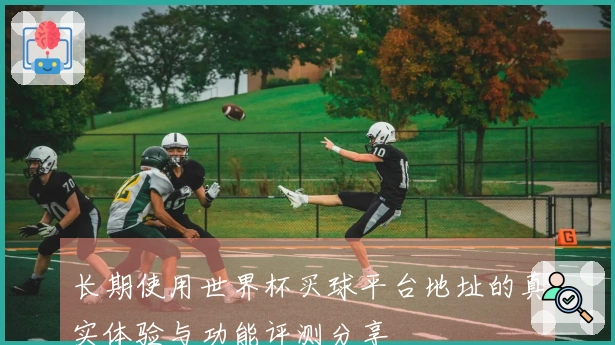 长期使用世界杯买球平台地址的真实体验与功能评测分享