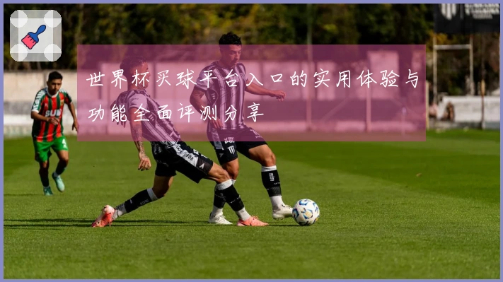 世界杯买球平台入口的实用体验与功能全面评测分享