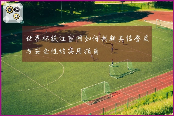 世界杯投注官网如何判断其信誉度与安全性的实用指南