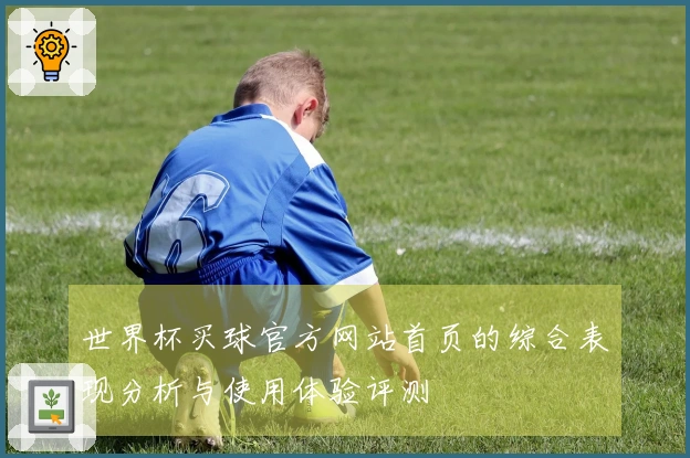 世界杯买球官方网站首页的综合表现分析与使用体验评测