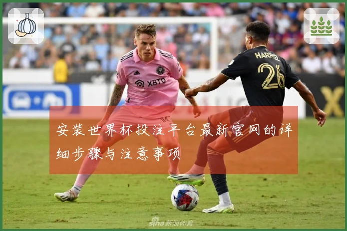 安装世界杯投注平台最新官网的详细步骤与注意事项