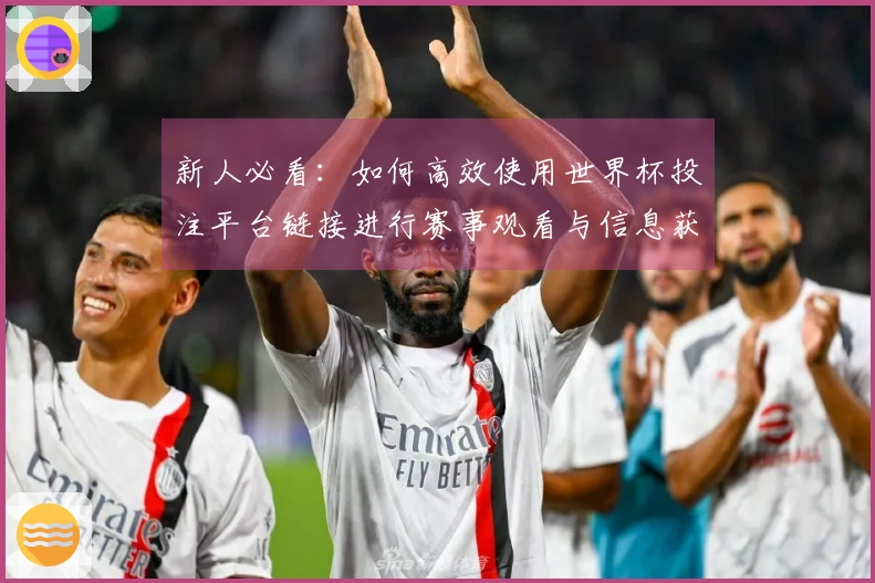新人必看：如何高效使用世界杯投注平台链接进行赛事观看与信息获取