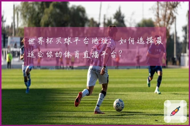 世界杯买球平台地址：如何选择最适合你的体育直播平台？