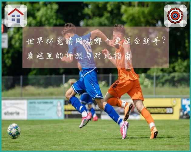 世界杯竞猜网站哪个更适合新手？看这里的评测与对比指南