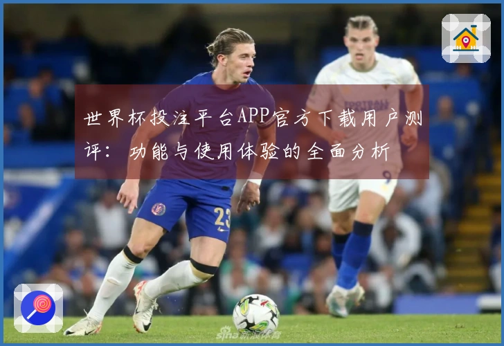 世界杯投注平台APP官方下载用户测评：功能与使用体验的全面分析