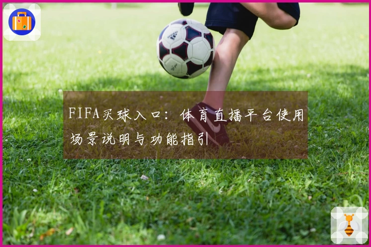 FIFA买球入口:体育直播平台使用场景说明与功能指引