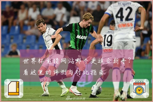 世界杯竞猜网站哪个更适合新手?看这里的评测与对比指南