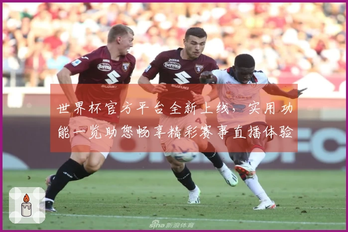 世界杯官方平台全新上线，实用功能一览助您畅享精彩赛事直播体验