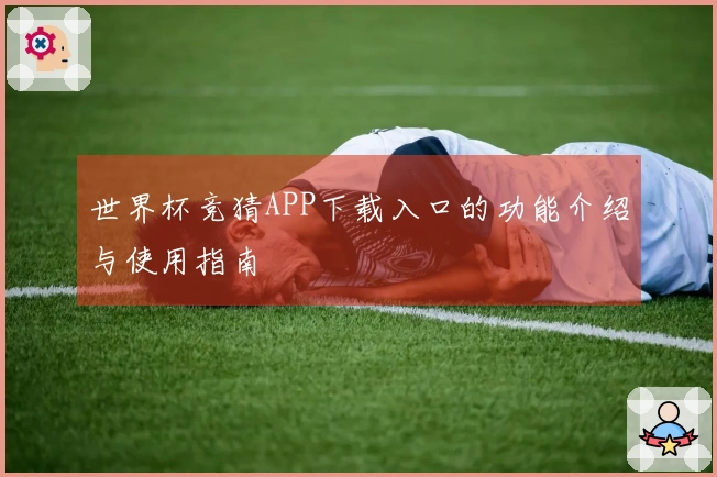 世界杯竞猜APP下载入口的功能介绍与使用指南
