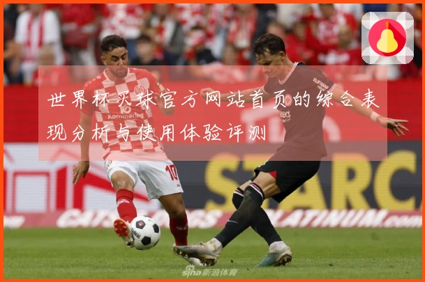 世界杯买球官方网站首页的综合表现分析与使用体验评测